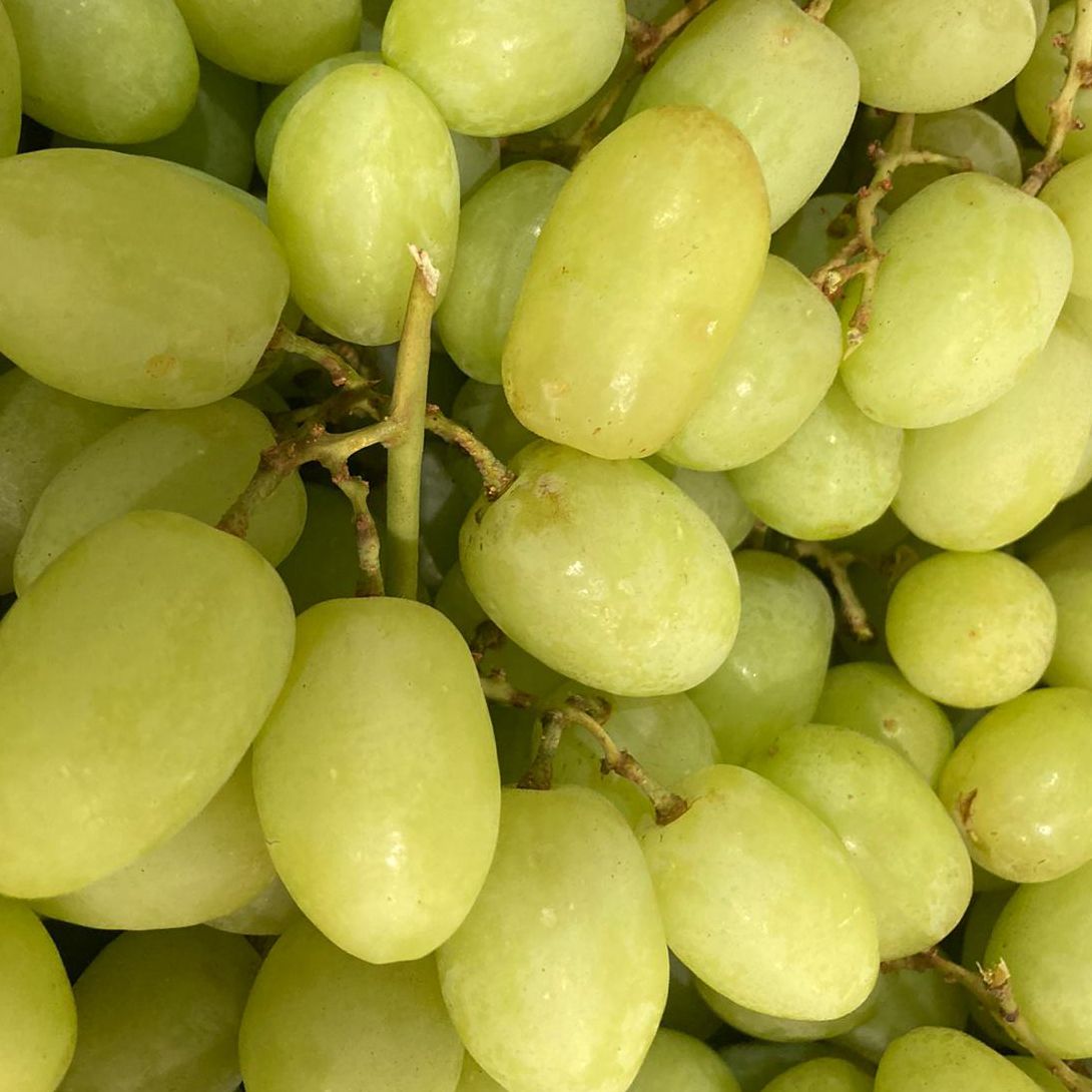 Grapes